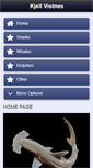 Mobile Screenshot of kjellvistnes.com